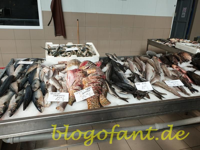 Bukarest Markt Fisch