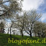 K800 20190407 113103