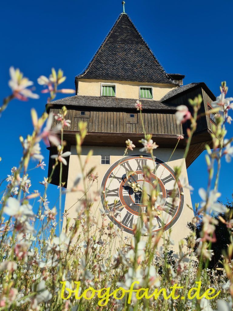 Grazer Schloßberg mit Uhrturm und Blumen im Herbst, Uhrturm Graz, Blumen in Graz, Herbst in Graz