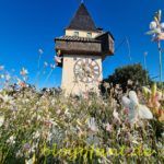 Grazer Schloßberg mit Uhrturm und Blumen im Herbst, Uhrturm Graz, Blumen in Graz, Herbst in Graz, Graz - 8 Highlights und Sehenswürdigkeiten