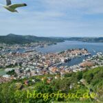 K1600 20220624 120830