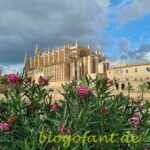 Kathedrale La Seu in Palma de Mallorca