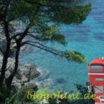 Skiathos Bus