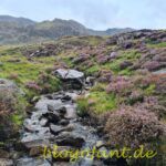 K1600 20230813 103135